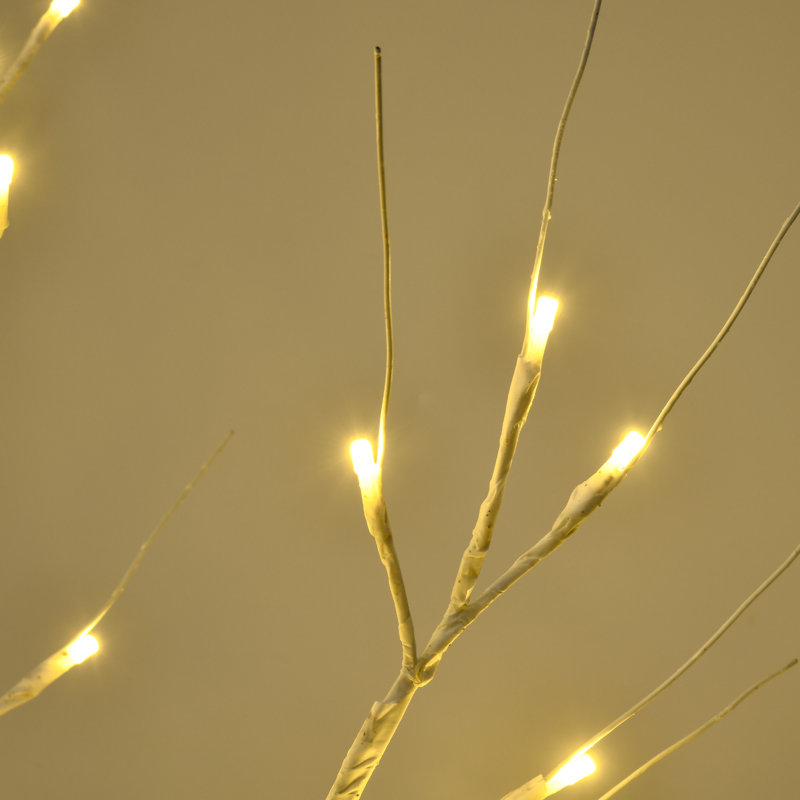Lighted Trees & Branches