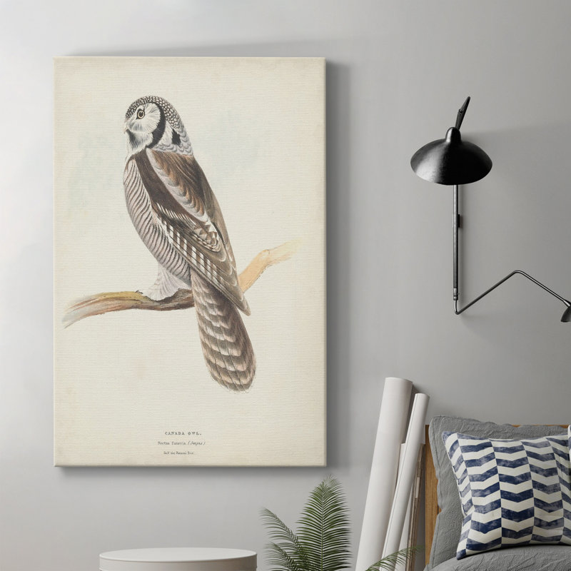 Canada Owl - impression sur toile tendue, H 48 po x l 32 po x P 1 po