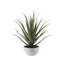 31.5" Artificial Agave Plant