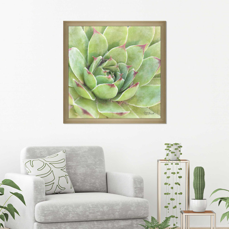 «Garden Succulents IV Color», reproduction de photo, H 25,5 po x l 25,5 po x P 1 po, Encadrement champagne