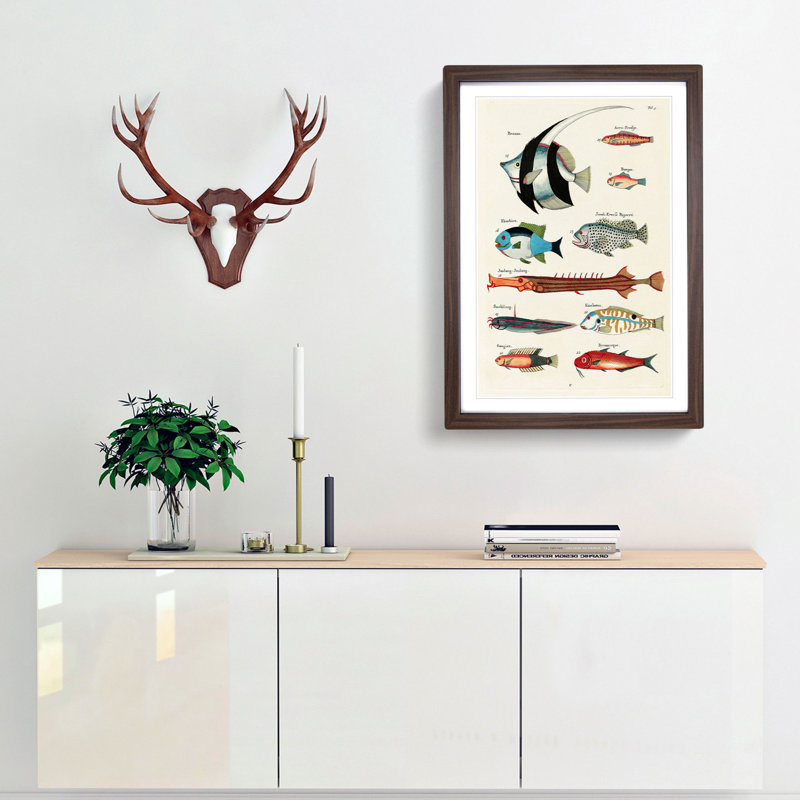 East Indies Fish Illustrations Fol. 3 by Louis Renard - Picture Frame Painting Print, 36cm H x 27cm W x 2cm D, Walnut Framed