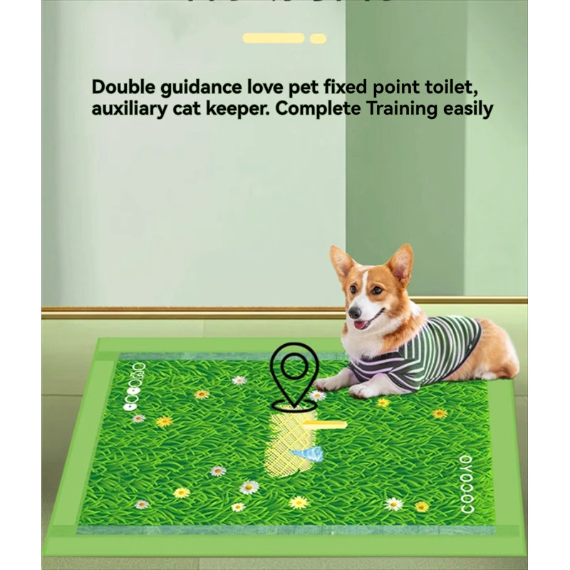 Tapis pour chien (ensemble de 20)