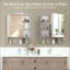 Armoire à pharmacie avec miroir pour salle de bain, miroir de salle de bain mural avec rangement, tablettes réglables, cadre en aluminium, fixation en surface-436753388-436753385