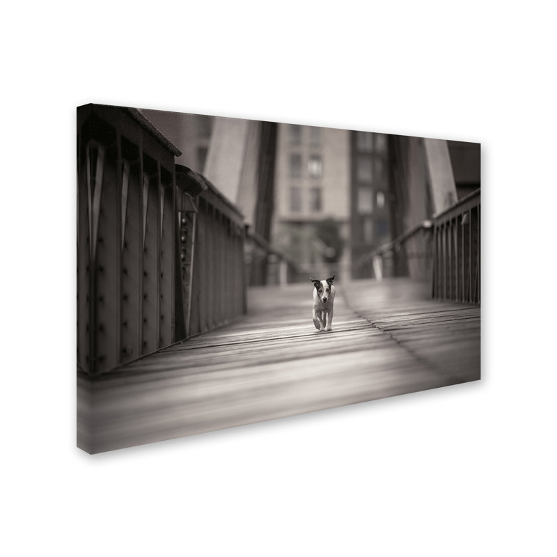 Art mural sur toile tendue - «You Can Go Your Own Way» de Heike Willers pour décoration de salon, de chambre à coucher ou de bureau - 30 x 47