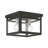 Teodro Glass Flush Mount