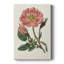 Mélange de fleurs roses - galerie Cavas-874539585