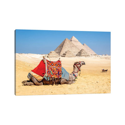" Camel Resting By The Pyramids, Giza, Egypt " by Richard Silver