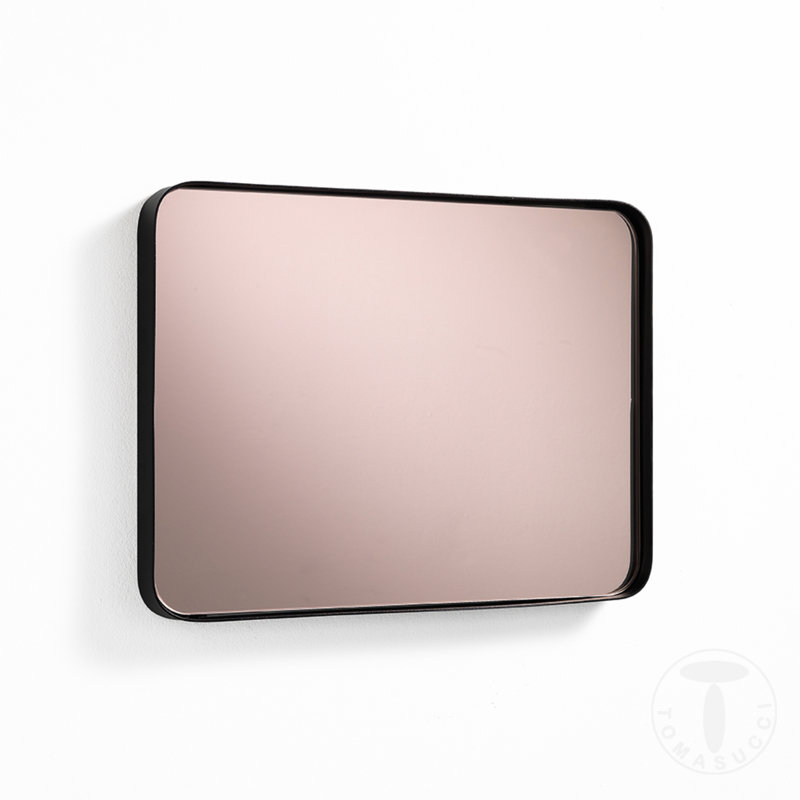 Metal Framed Wall Mounted Accent Mirror in Black