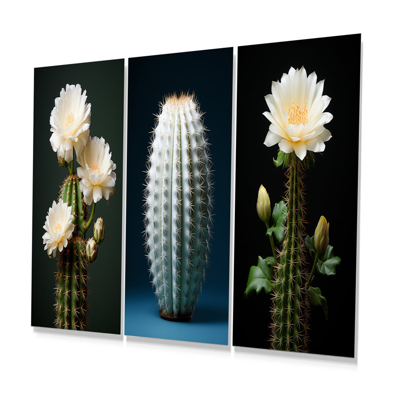 «Cactus Ivory Isolation - Cactus», ensemble de 3 reproductions d'art en métal, H 28 po x l 36 po