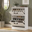 Shoe Cabinet with 2 Flip Drawers Modern Narrow Entryway Shoe Storage with Adjustable Dividers for 12 Pairs-1493325184