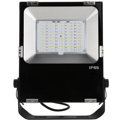 Fridley LED Flood Light