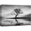 "Solitude Reflection Lone Tree Monicol" sur toile-99543687