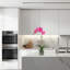 Orchid Arrangement In Pot-357743677