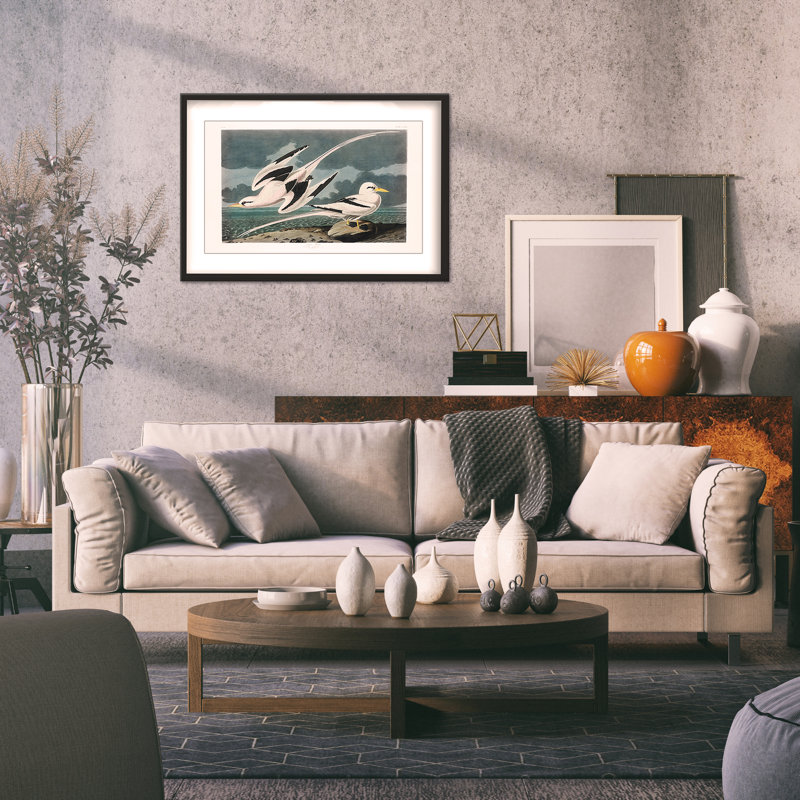 Nature Inspired Tropic Bird From Birds Of America (1827), 16" H x 24" W