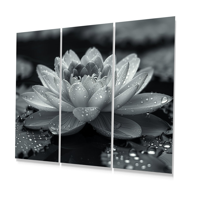 Lotus gris photo élégante silhouette II - ensemble de décoration murale lotus, H 40 po x l 60 po x P 1 po