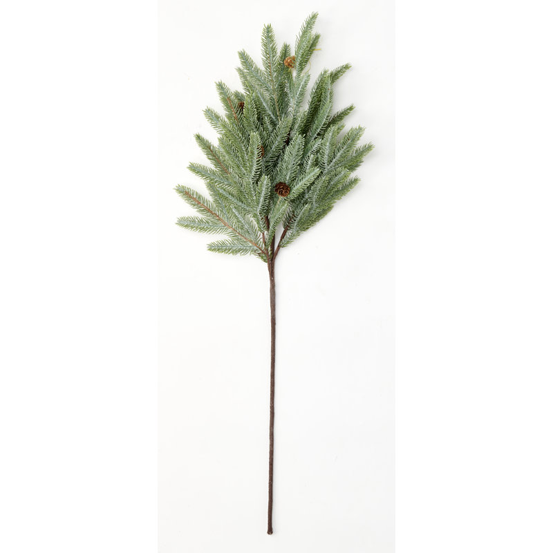 Pin et pomme de pin