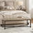 Anahli 50.5'' W Modern Genuine Leather Bench with Button-tufted and Metal Legs-576891789