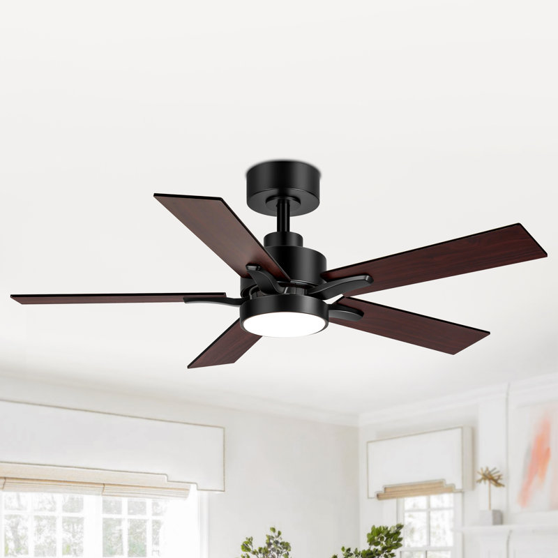 Ventilateur de plafond standard à DEL à 5 pales de 42 po avec télécommande et ensemble d'éclairage inclus Jeason, Noir, Brun