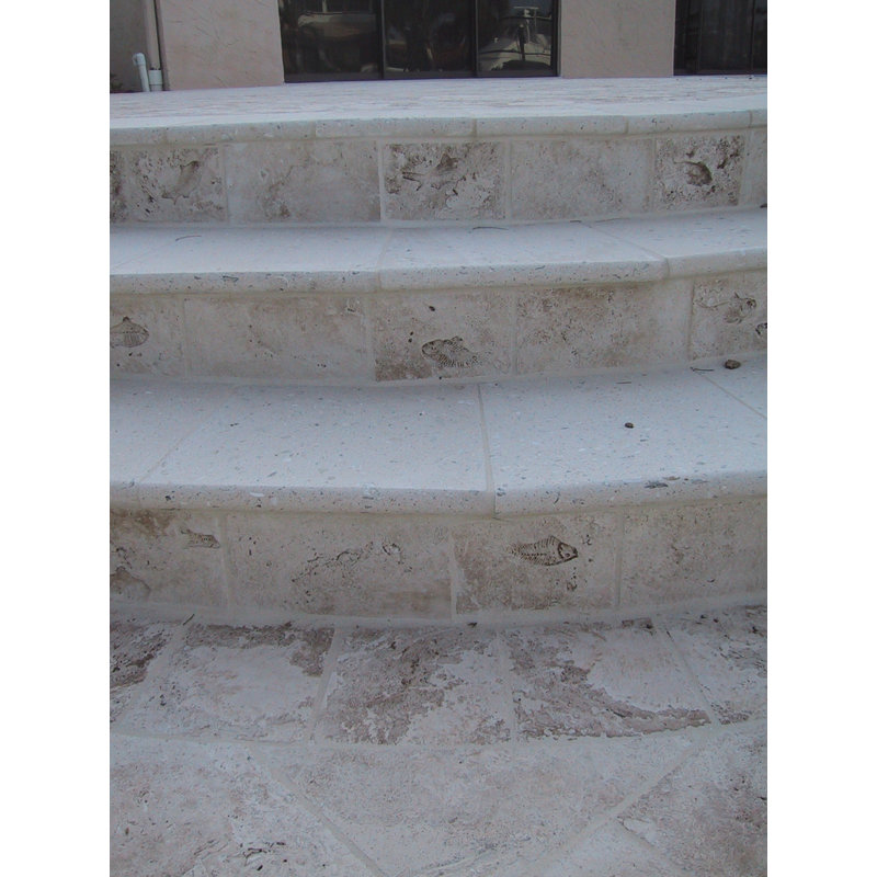 6" x 6" SeaStone Whole Medallion Tile in Buff
