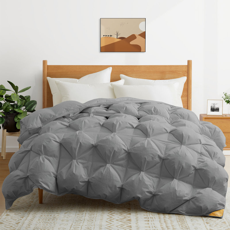 Édredon toutes saisons 90% duvet et tissu de coton biologique 300 fils, Gris, Lit simple