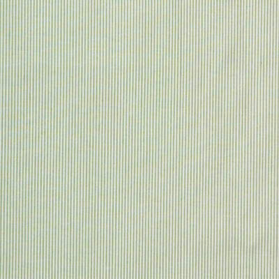 Captiva Ticking Fabric