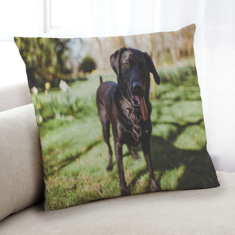 Coussin Dogs Dogs 51, Synthétique