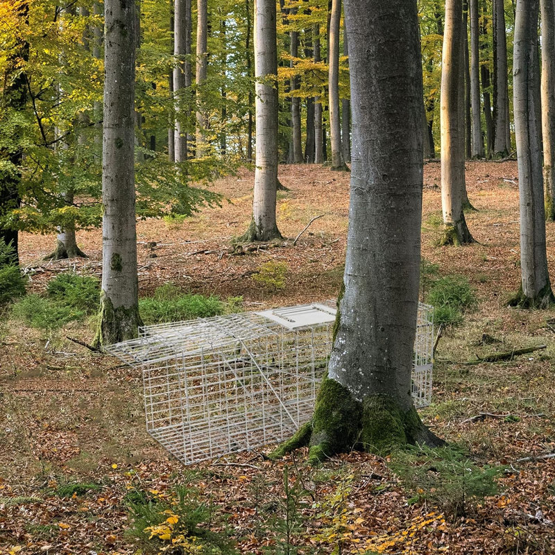Cage à souris Felis