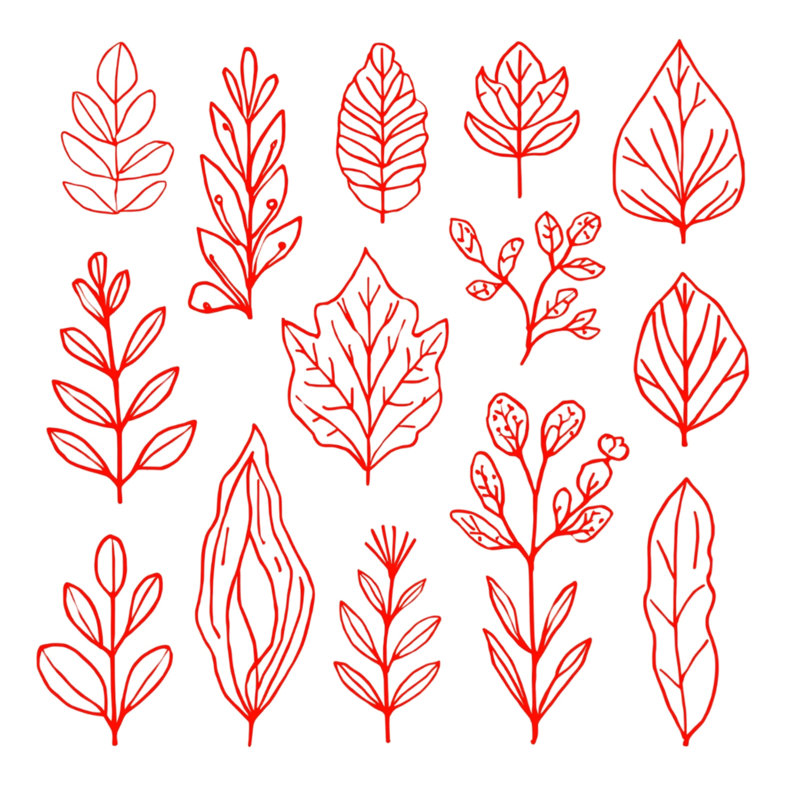 Édredon Red Leaf Illustration, Simple extra long