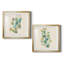 Eucalyptus I - ensemble de 2 reproductions d'art-2097958764-2097958767-2097958771