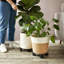 Support pour plante en métal Sandar