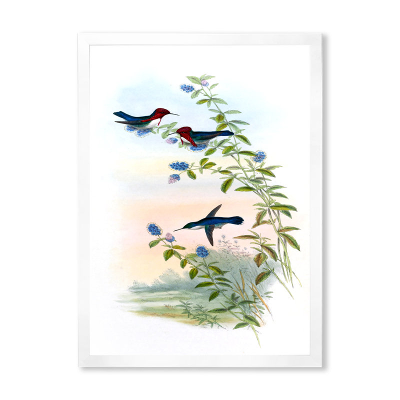 Colibri rétro II - peinture sur toile, Cadre photo blanc, H 32 po x l 16 po x P 1 po