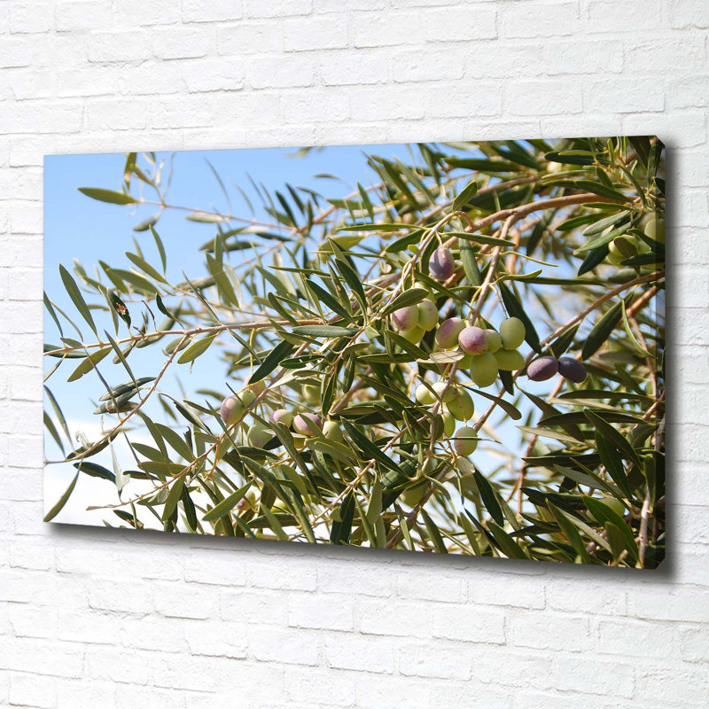 Olive Tree - Wrapped Canvas Print