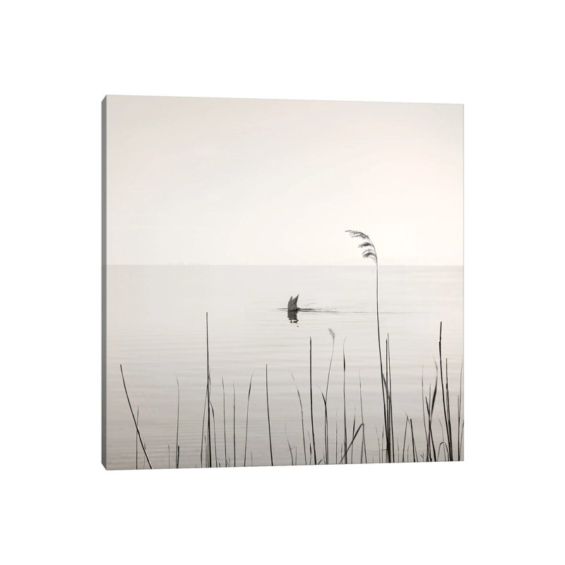 Diving Swan by Lena Weisbek - Wrapped Canvas Print, 66.04 cm H x 66.04 cm W x 3.175 cm D