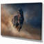 «Black Stallion Horse», reproduction de photo sur toile tendue-29495983