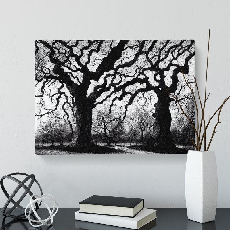 Graceful Oak Trees - Wrapped Canvas, 50cm H x 76cm W x 3cm D