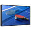 Tennis de table bleu-627380075-627380077