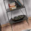 Pine Bookshelf-1343466603