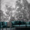 Papier peint mural Ethereal Forest Mist