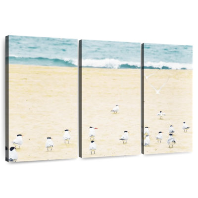 Relaxed Seagulls