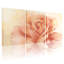 Ensemble de 3 toiles décoratives murales à motifs floraux de roses pêche, pour salon, chambre à coucher et décoration intérieure.-121570526