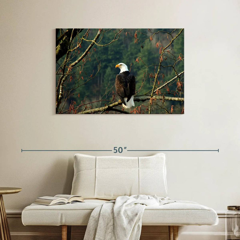Brampt Perched Canadian Bald Eagle, 26" H x 39" W