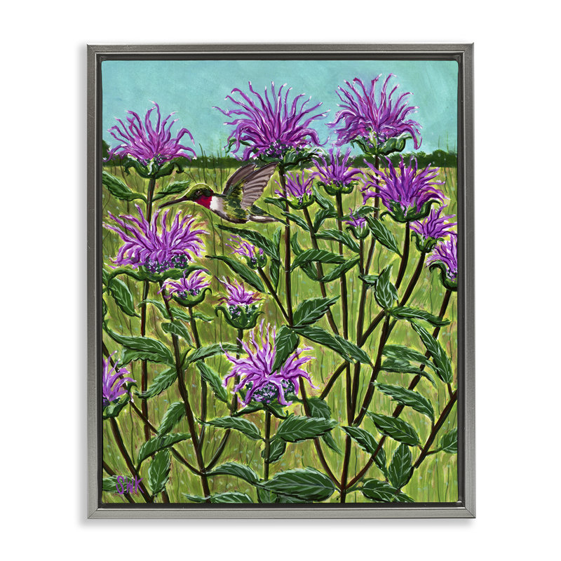 Cadre flottant Ruby Throated Hummingbird & Beebalm, design par Sarah Waldron Kimball, Cadre flottant gris lustré
