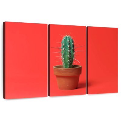 Cactus en pot Harnek