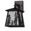 Rustic Lodge 1 - Light Armed Sconce