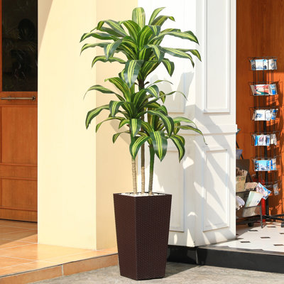 Adcock Artificial Dracaena Tree UV Resistant with Tall Planter, Faux Dracaena Tree for Outdoor