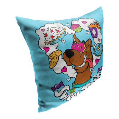 Indoor/Outdoor Pillow Cover