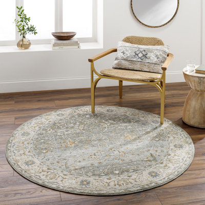 Oriental Indoor Rug