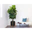 Riverside Handmade Ceramic Pot Planter-2000624936-2000624931