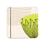 Dandelion Clocks Coasters