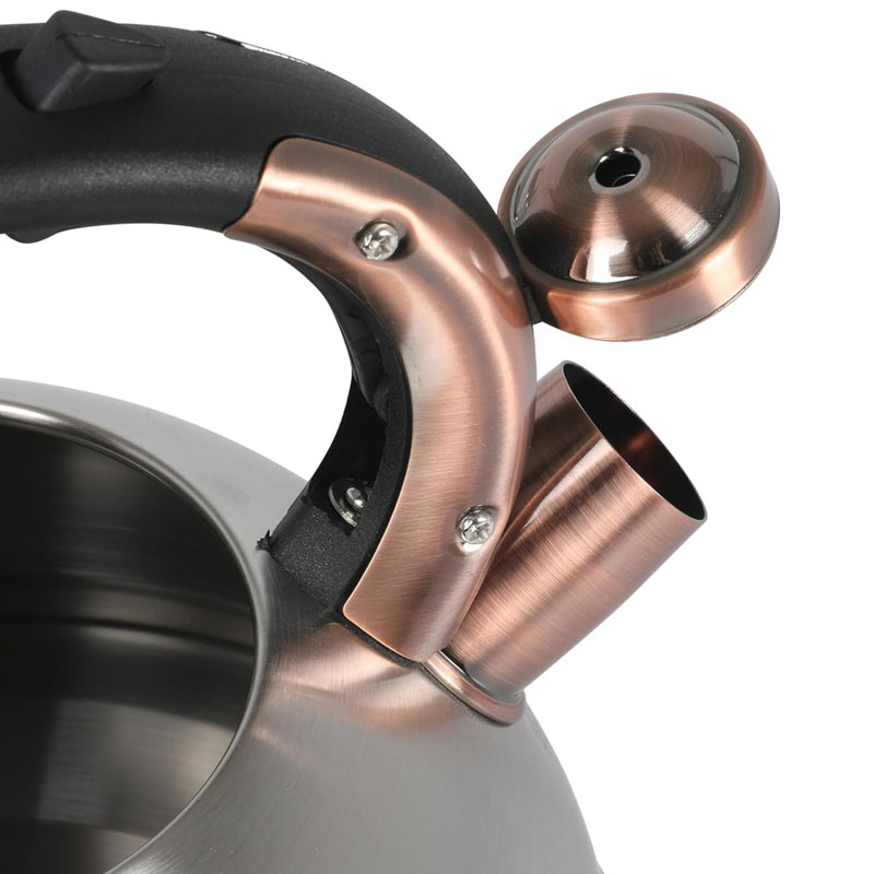 Mr. Coffee 2.2 Quart Stainless Steel Whistling Tea Kettle in Silver